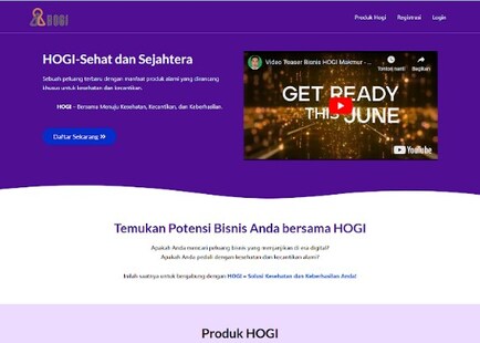 Portofolio webste replika web support Bisnis Hogi